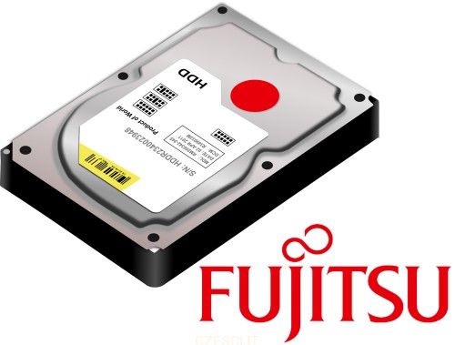 Dysk FUJITSU Fujitsu Eternus HDD 6TB 12G 7 2K NL-SAS 3 5  F2520 (CA07410-L107)